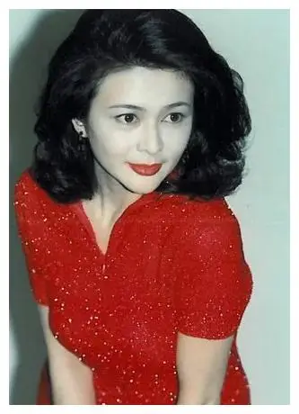 关之琳的社会责任感与积极活动_关之琳节目谈感情_关之琳活动