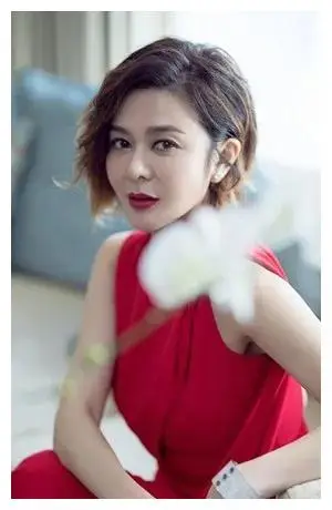 关之琳活动_关之琳节目谈感情_关之琳的社会责任感与积极活动