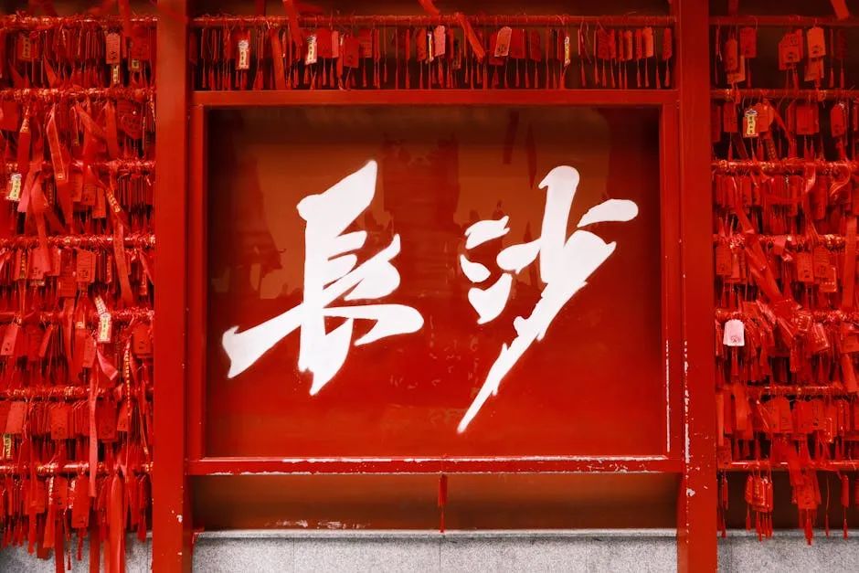 如何通过教育提升投资者对虚拟货币的认知与风险意识：实用建议_如何通过教育提升投资者对虚拟货币的认知与风险意识：实用建议_如何通过教育提升投资者对虚拟货币的认知与风险意识：实用建议